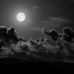 The Daily Poet: The Gibbous Moon