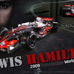 Lewis Hamilton Champ