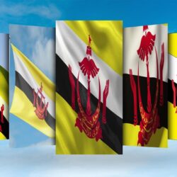 Brunei Flag Wallpapers for Android