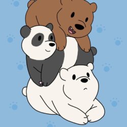 Panda vs Polar