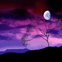 Artistic night scene of a gibbous moon in a sky with purple and