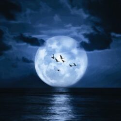 Supermoon On The Night Sky Above The Sea