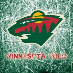 Minnesota Wild 2014 Logo Wallpapers Wide or HD