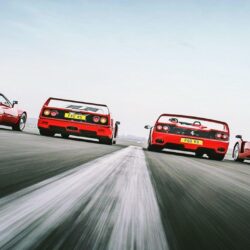 Wallpapers : , ferrari 288 gto, Ferrari Enzo, Ferrari F40