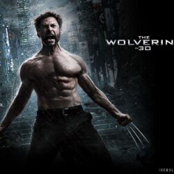 The Wolverine image The Wolverine HD wallpapers and backgrounds