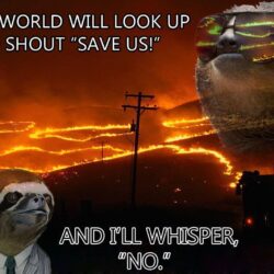Sloth Meme Whisper Jalapeno