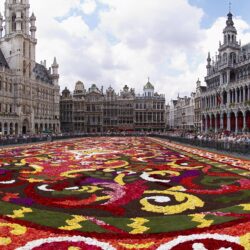 Most viewed Brussels wallpapers