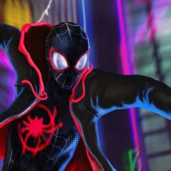 Spider Man Into The Spider Verse Wallpapers HD Backgrounds, Image