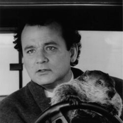 Groundhog Day Wallpapers High Quality