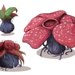 Oddish