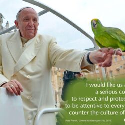 Pope Francis ‘Green’ Wallpapers