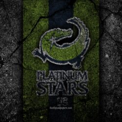 Download wallpapers Platinum Stars FC, 4k, emblem, South African