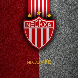 Download wallpapers Club Necaxa, Impulsora del Deportivo Necaxa, 4k