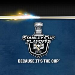 Outstanding Pittsburgh Penguins wallpapers