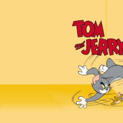 Wallpaper’s Collection: «Tom and Jerry Wallpapers»