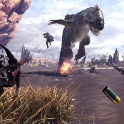 Monster Hunter: World beginner’s guide