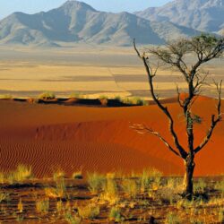 Cristina Nica: Namibia High Quality Wallpapers