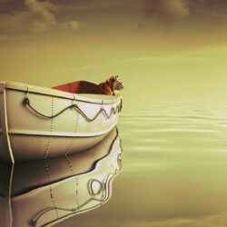 Life Of Pi Boat, HD Movies, 4k Wallpapers, Image, Backgrounds
