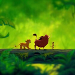 85 The Lion King HD Wallpapers