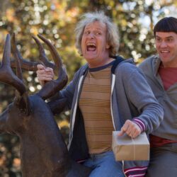 Best 52+ Dumb and Dumber Wallpapers on HipWallpapers