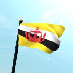 Brunei Darussalam Flag 3D Free for Android