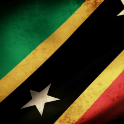 St. Kitts & Nevis Flag Waving, grunge look Motion Backgrounds