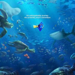 Finding Dory wallpapers hd