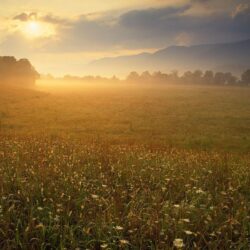 Nature: Cades Cove Sunrise, Great Smoky Mountains National Park