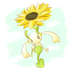 sunflower floette