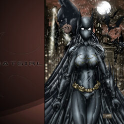 Gotham Girls image Batgirl Fan Art HD wallpapers and backgrounds