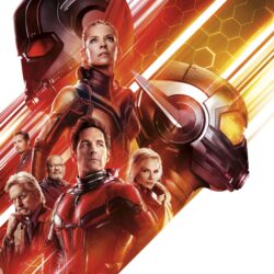 Ant Man And The Wasp Movie 10k 8k HD 4k Wallpapers, Image