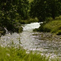 bright river, river, riverbank, sparkling, stream, sunlight 4k