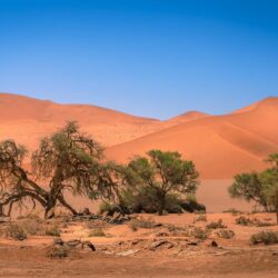 Wallpapers dunes, Africa, Namibia, Sands, Namibia, Sossusvlei image