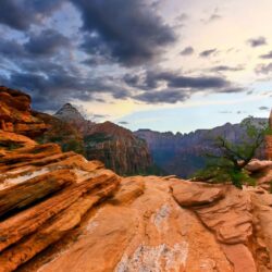 Zion National Park Wallpapers Landscape Nature Wallpapers in