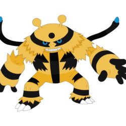 Rough the Shiny Electivire by kasanelover