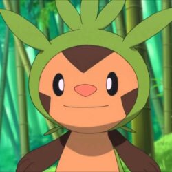 Pokémon image Chespin HD wallpapers and backgrounds photos