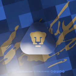 Pumas U N A M Wallpapers