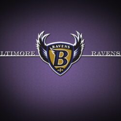 Collection of Baltimore Ravens Desktop Wallpapers on HDWallpapers