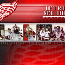Check this out! our new Detroit Red Wings wallpapers