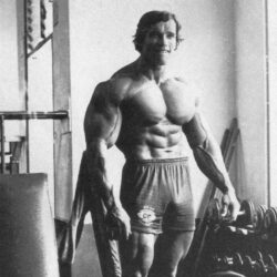 Arnold Schwarzenegger Wallpapers 11